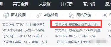 高质量SEO外链代发 一个月赚万元的暴利项目 经验心得 网赚