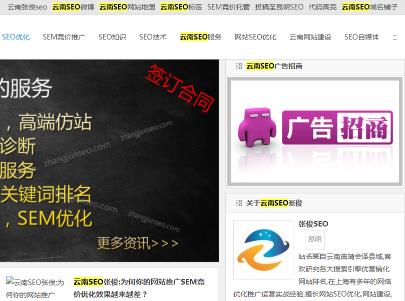 SEO网站优化不更新文章无需外链一样让排名上首页 SEO优化 百度优化 网站优化 网站排名