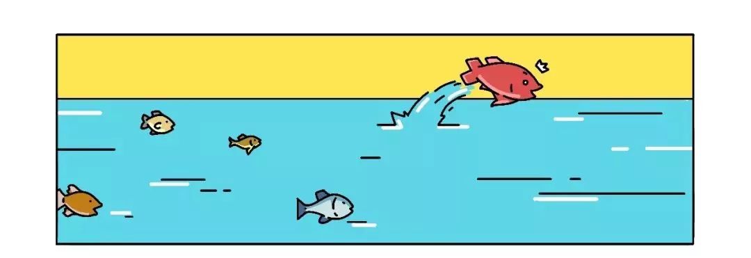 鸟哥笔记,广告营销,袁海,抖音运营,内容营销,短视频