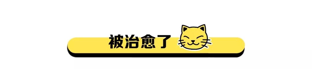 鸟哥笔记,广告营销,袁海,抖音运营,内容营销,短视频