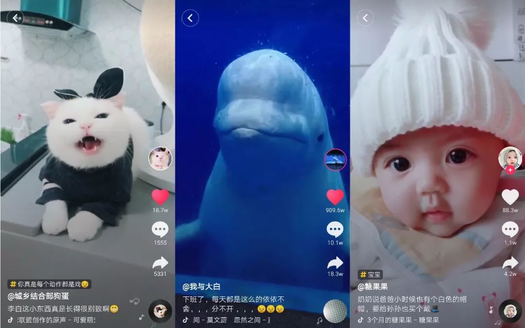 鸟哥笔记,广告营销,袁海,抖音运营,内容营销,短视频
