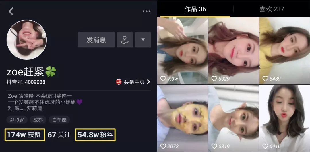 鸟哥笔记,广告营销,袁海,抖音运营,内容营销,短视频