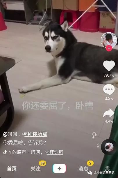 鸟哥笔记,新媒体运营,孟小厨,内容运营,抖音